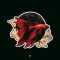 Red Betta Sticker