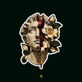 Aesthetic Bust Sticker